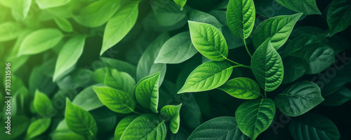 Close-up of a bunch of green leaves, nature, Generative AI