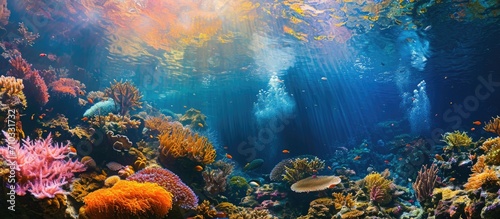 Vibrant and scenic underwater scene with corals in tropical sea. photo