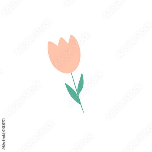 Peach flower  illustration 