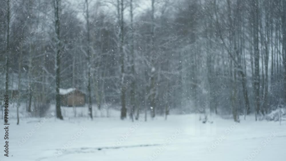 Heavy snowfall. Beautiful forest landscape of snow and blurred trees. Gently falling snow flakes. Bad snowy weather cold day. Winter nature background. Nobody, No People, Super Slow motion. Snowstorm Heavy snowfall. Beautiful forest landscape of snow and blurred trees. Gently falling snow flakes. Bad snowy weather cold day. Winter nature background. Nobody, No People, Super Slow motion. Snowstorm