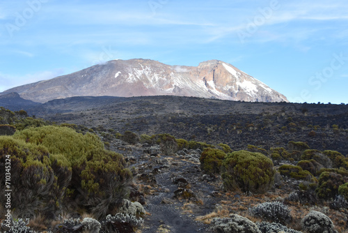 Arid dry African savanna Mount Kilimanjaro, highest peak i Afric