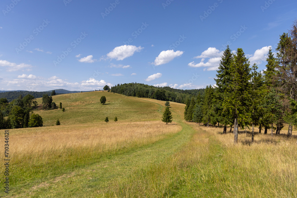 Tourist route along the peak of the Pieniny Mountains, panorama of picturesque meadows against the blue sky, Poland Tourist route along the peak of the Pieniny Mountains, panorama of picturesque meadows against the blue sky, Poland