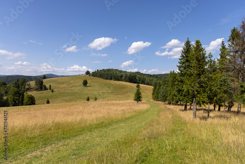 Tourist route along the peak of the Pieniny Mountains, panorama of picturesque meadows against the blue sky, Poland