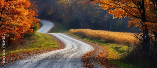 curving rural path