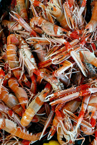 Traditional fish market. Fresh langoustines.. Trouville. France.