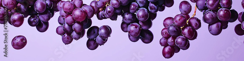 a fresh grape with a dewy surface, raindrops on the air in a purple background for a banner, wine label, copy space