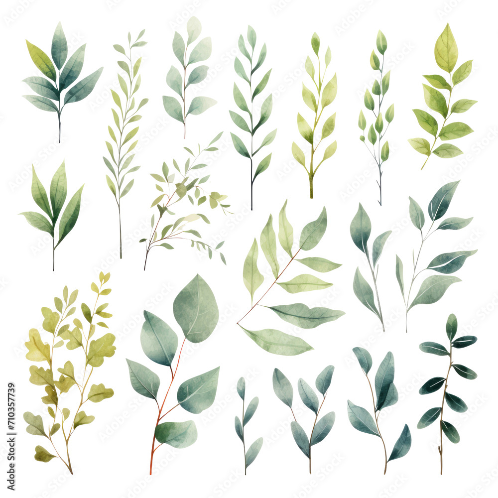 Watercolor floral set of green leaves, greenery, branches, PNG illustration on transparent background