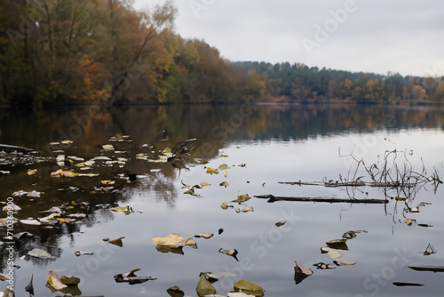 Lake with fallen leaves