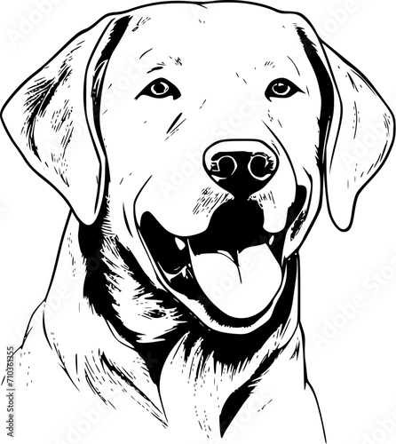 Labrador Dog SVG White Smiling Happy Headshot