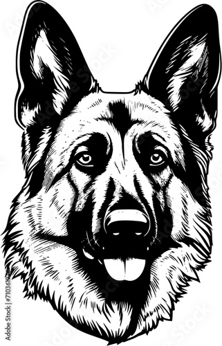 German Shepherd Dog Smiling Head Tongue Out