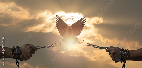 chains on hand that transform into peace birds. freedom and charge concept. photo