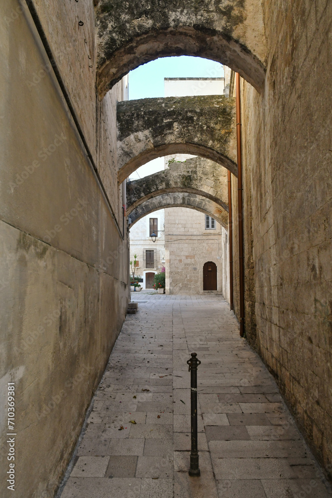 A narrow street among the old houses of Monopoli, a town in the province of Bari, Italy.