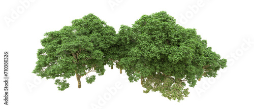 Green forest isolated on background. 3d rendering - illustration