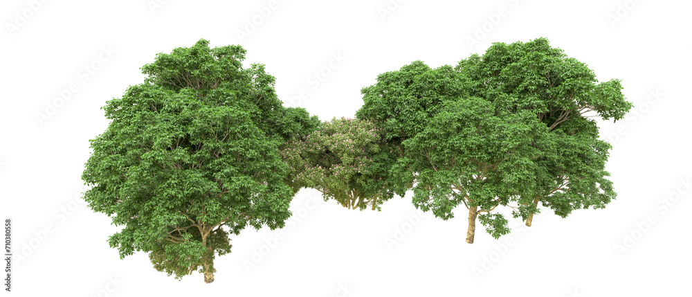 Green forest isolated on background. 3d rendering - illustration Green forest isolated on background. 3d rendering - illustration