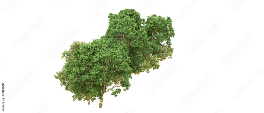 Obraz premium Green forest isolated on background. 3d rendering - illustration