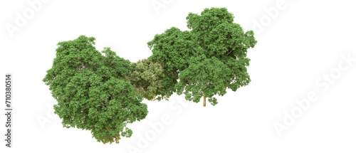 Green forest isolated on background. 3d rendering - illustration