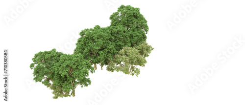 Green forest isolated on background. 3d rendering - illustration