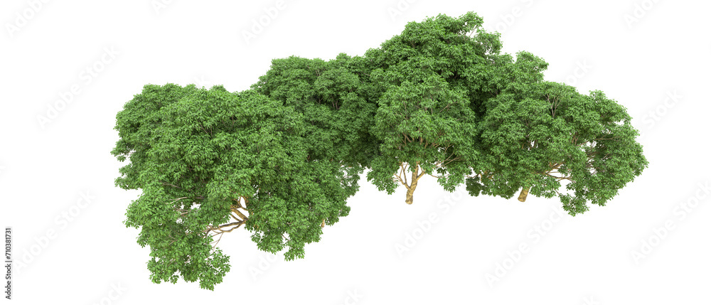 Green forest isolated on background. 3d rendering - illustration Green forest isolated on background. 3d rendering - illustration