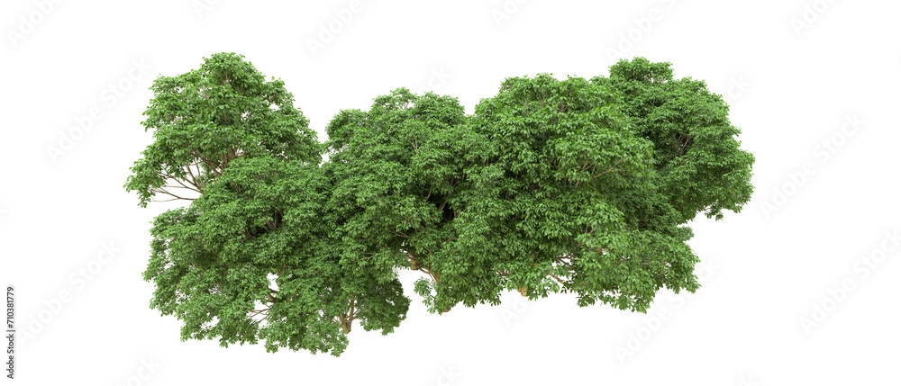 Green forest isolated on background. 3d rendering - illustration Green forest isolated on background. 3d rendering - illustration
