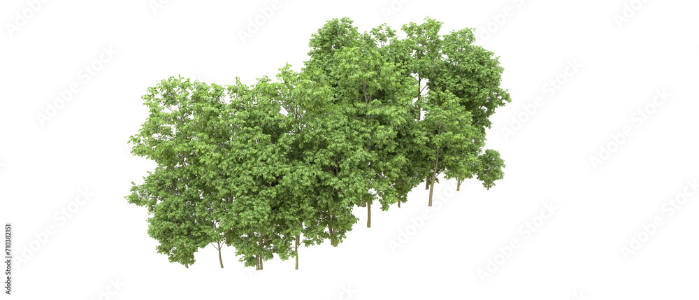 Green forest isolated on background. 3d rendering - illustration Green forest isolated on background. 3d rendering - illustration