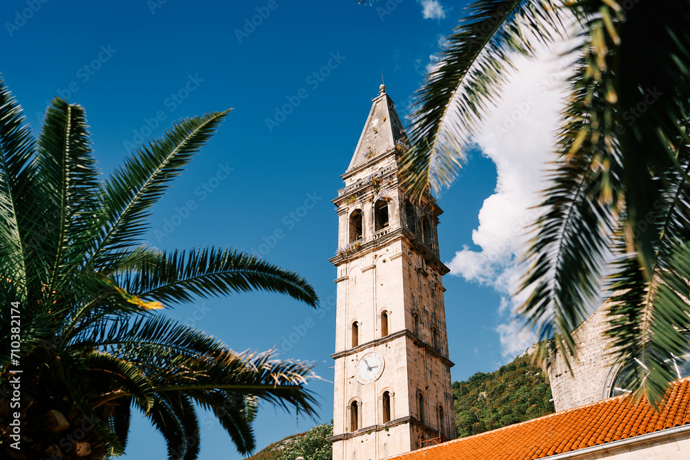 View through green palm branches to the bell tower of the Church of St. Nicholas. Perast, Montenegro