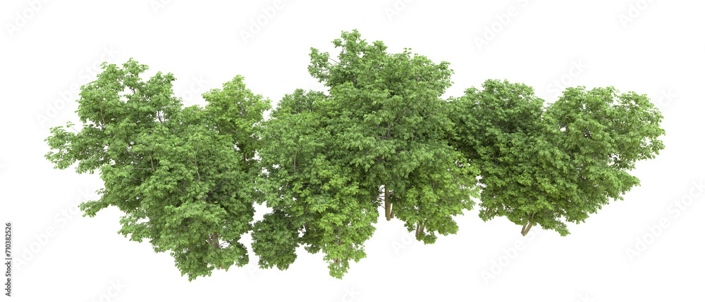 Green forest isolated on background. 3d rendering - illustration Green forest isolated on background. 3d rendering - illustration