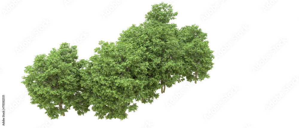 Green forest isolated on background. 3d rendering - illustration Green forest isolated on background. 3d rendering - illustration