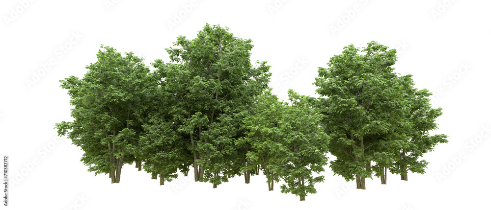 Green forest isolated on background. 3d rendering - illustration Green forest isolated on background. 3d rendering - illustration