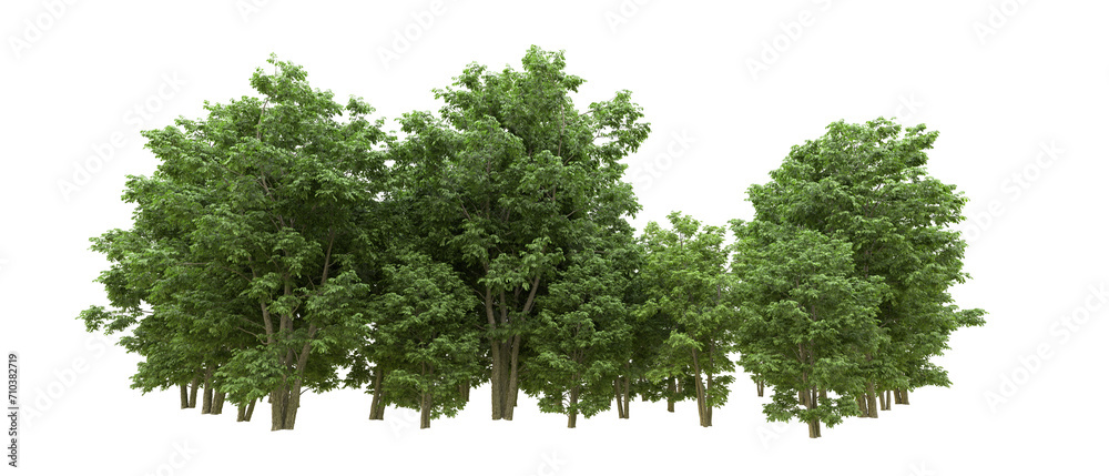 Green forest isolated on background. 3d rendering - illustration Green forest isolated on background. 3d rendering - illustration