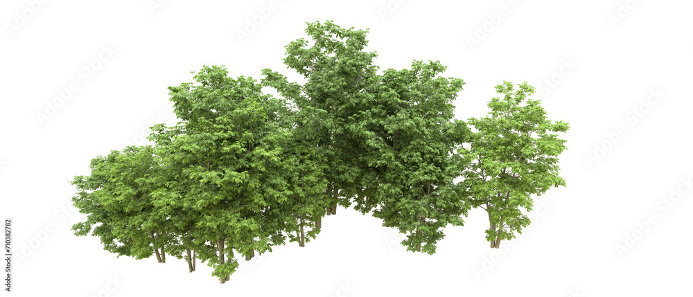 Green forest isolated on background. 3d rendering - illustration