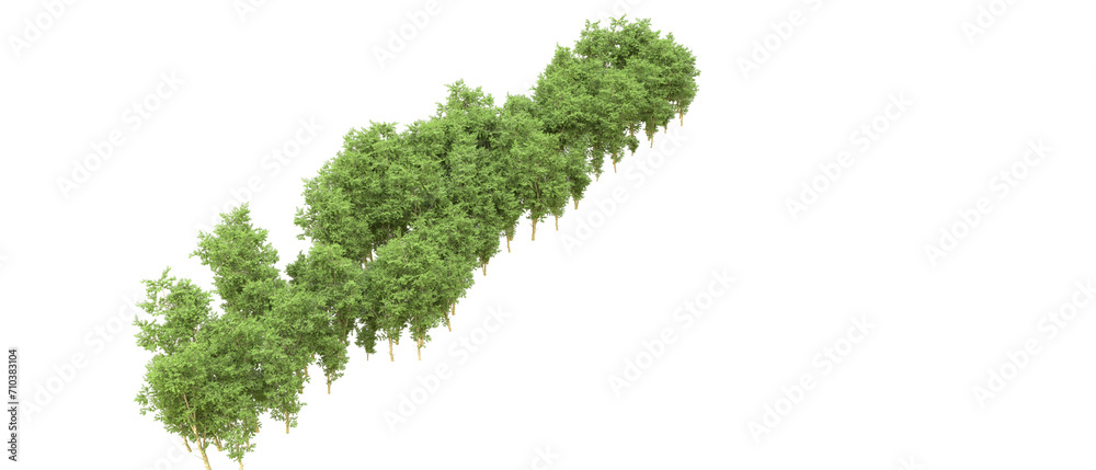 Green forest isolated on background. 3d rendering - illustration Green forest isolated on background. 3d rendering - illustration