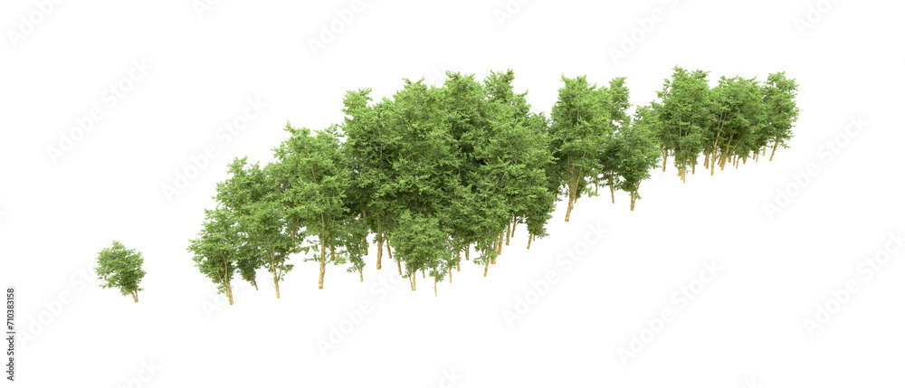 Green forest isolated on background. 3d rendering - illustration Green forest isolated on background. 3d rendering - illustration