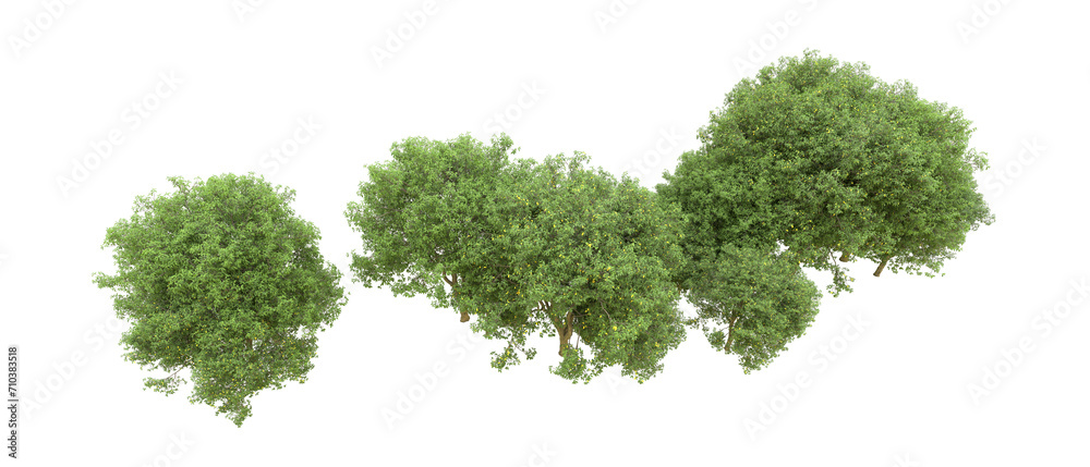 Green forest isolated on background. 3d rendering - illustration Green forest isolated on background. 3d rendering - illustration