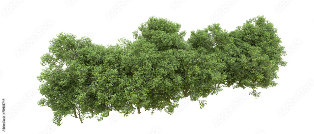 Green forest isolated on background. 3d rendering - illustration