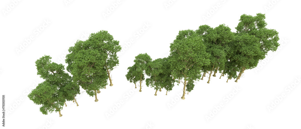 Green forest isolated on background. 3d rendering - illustration Green forest isolated on background. 3d rendering - illustration