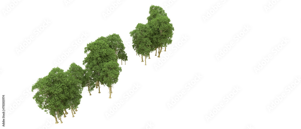 Fototapeta premium Green forest isolated on background. 3d rendering - illustration