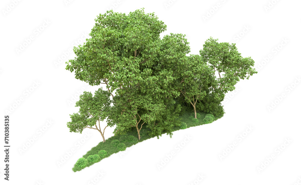 Fototapeta premium Green forest isolated on background. 3d rendering - illustration