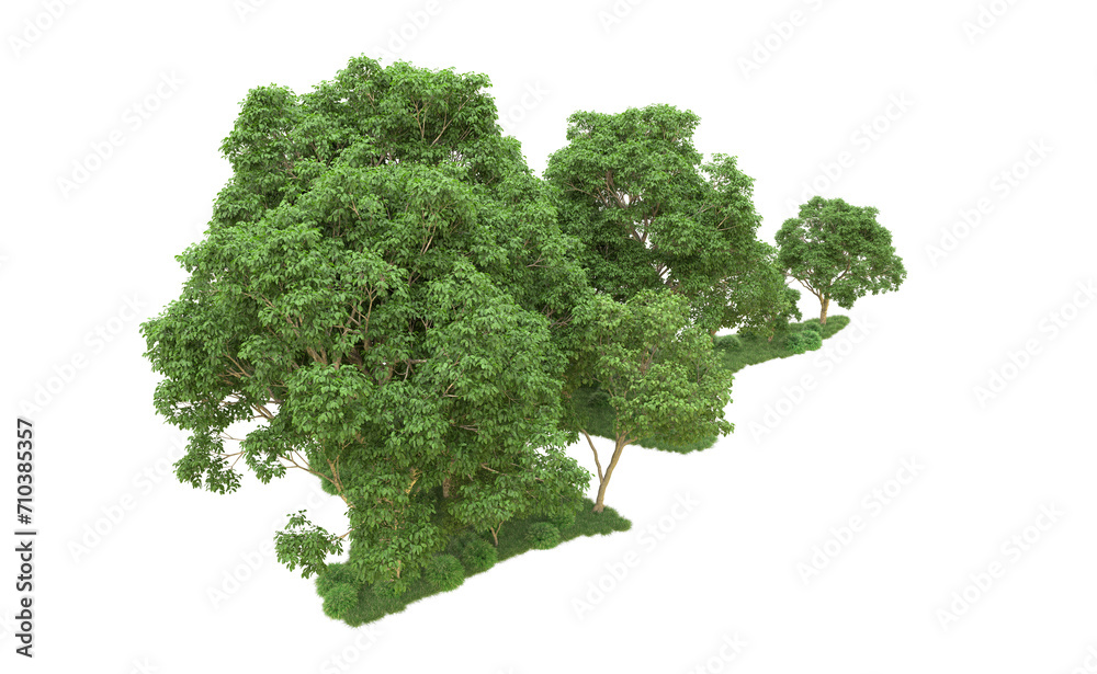 Green forest isolated on background. 3d rendering - illustration Green forest isolated on background. 3d rendering - illustration
