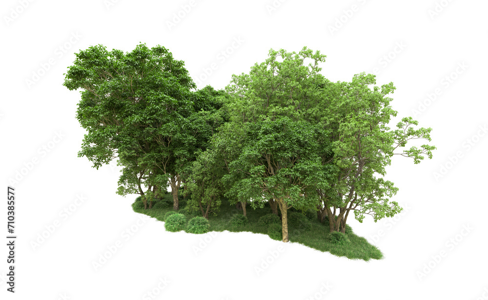 Green forest isolated on background. 3d rendering - illustration Green forest isolated on background. 3d rendering - illustration