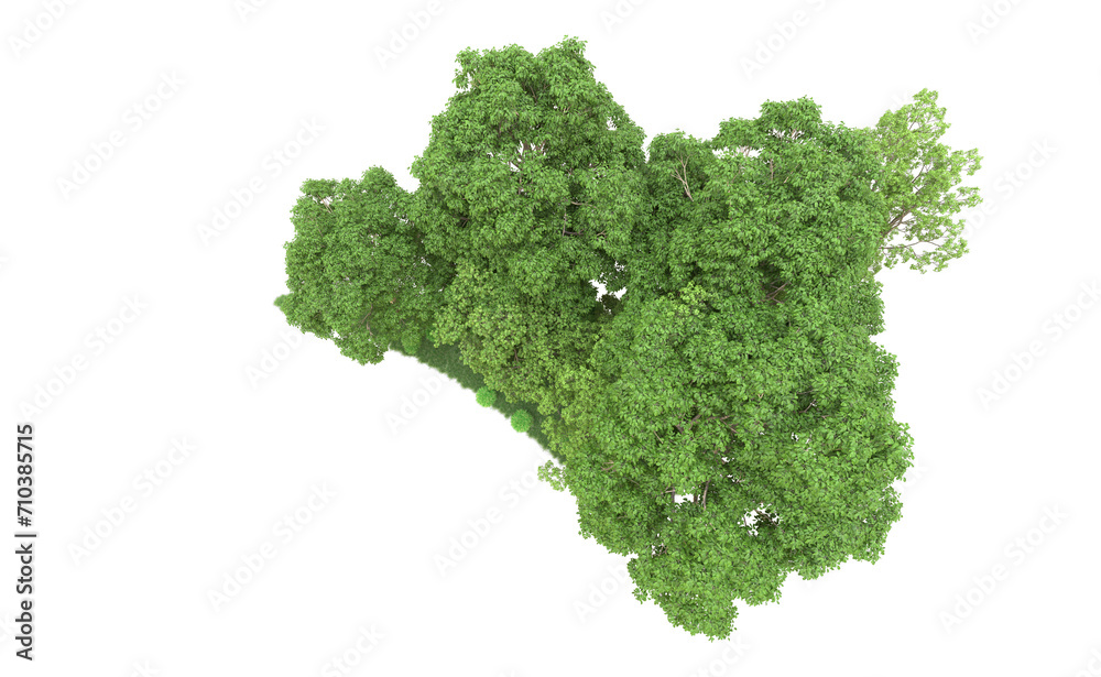 Green forest isolated on background. 3d rendering - illustration Green forest isolated on background. 3d rendering - illustration