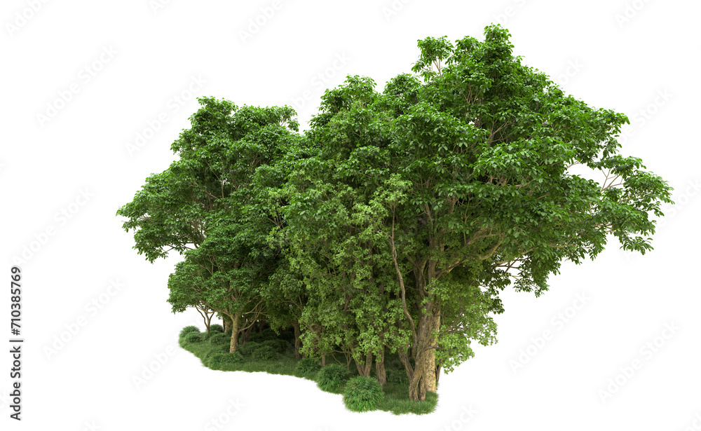 Green forest isolated on background. 3d rendering - illustration Green forest isolated on background. 3d rendering - illustration