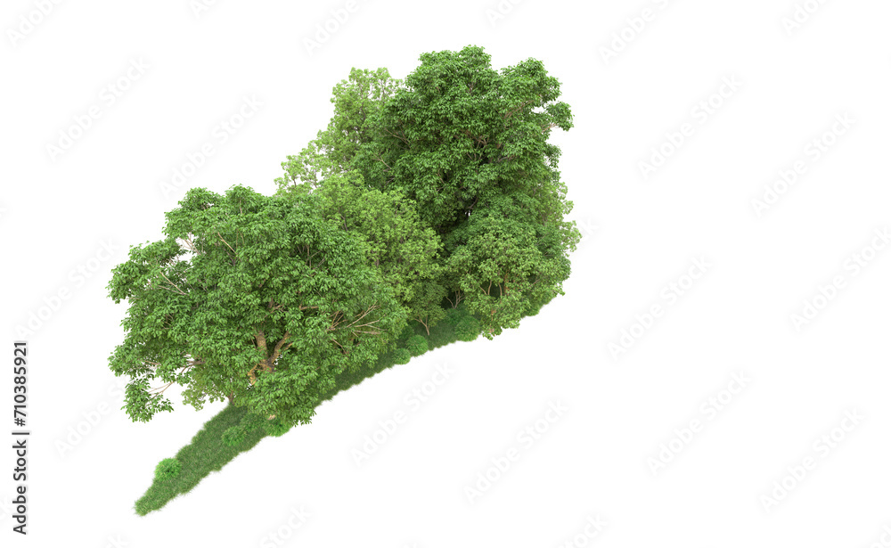 Green forest isolated on background. 3d rendering - illustration Green forest isolated on background. 3d rendering - illustration