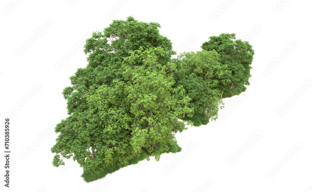 Green forest isolated on background. 3d rendering - illustration