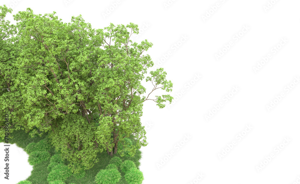 Green forest isolated on background. 3d rendering - illustration