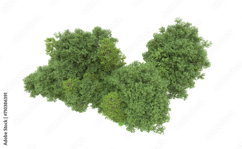 Obraz premium Green forest isolated on background. 3d rendering - illustration