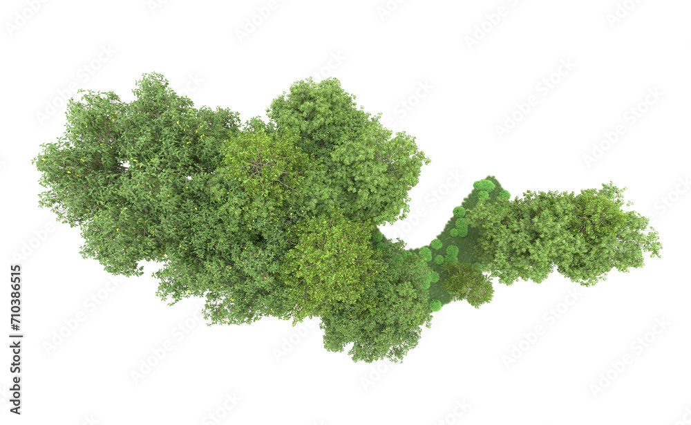 Obraz premium Green forest isolated on background. 3d rendering - illustration