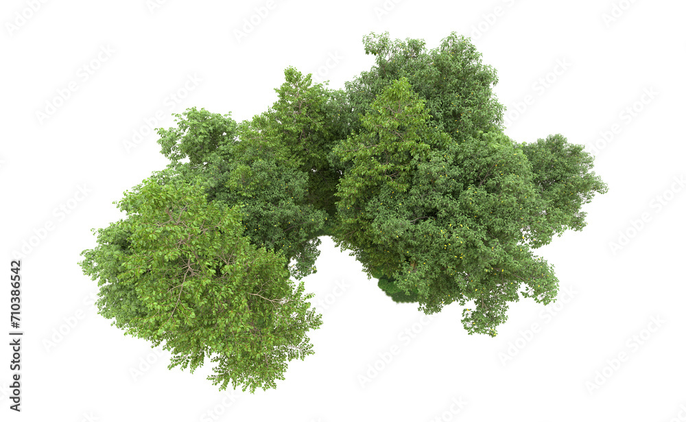 Obraz premium Green forest isolated on background. 3d rendering - illustration