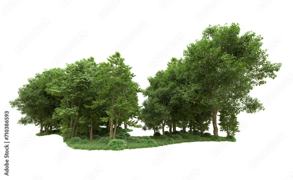 Fototapeta premium Green forest isolated on background. 3d rendering - illustration