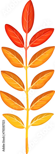 Autumn rowan leaf in fiery red, orange and yellow hues, capturing the essence of fall vibrant beauty. Isolated cartoon vector symbol of changing season, heralding the arrival of fall splendid palette