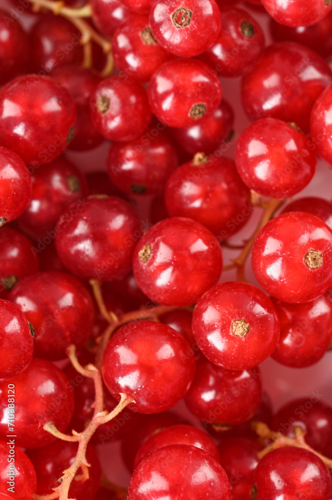 Ripe currant berries. Vitamins and Health Benefits. Ripe currant berries. Vitamins and Health Benefits.